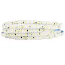 Tira LED 9,6W  DC24V 120LEDs/m SMD3528 IP65 6000K (Luz Fría-azulada) 8mm 5m