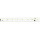 Tira LED 12,65W 60LEDs/m SMD2835 IP20 Luz Neutra DC24V 10mm 50m