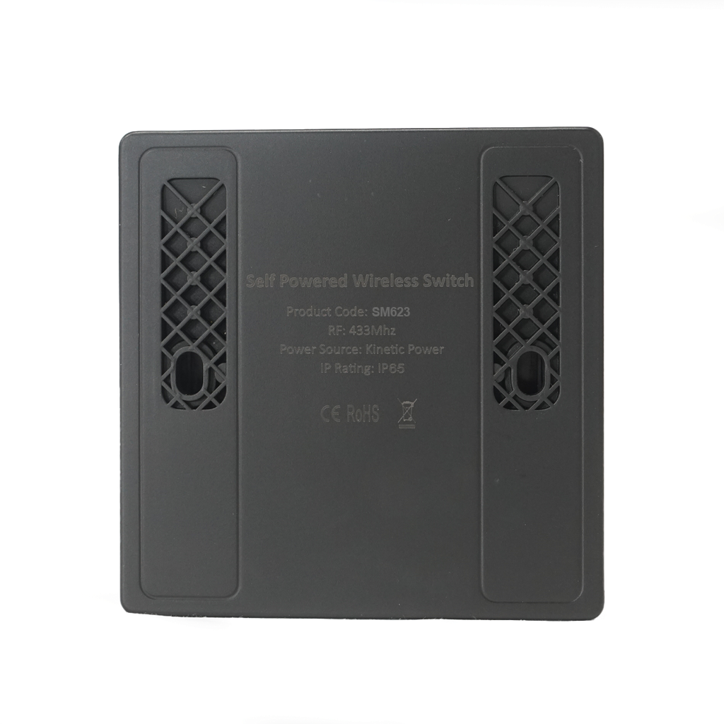 Interruptor inalámbrico negro. 2 botones