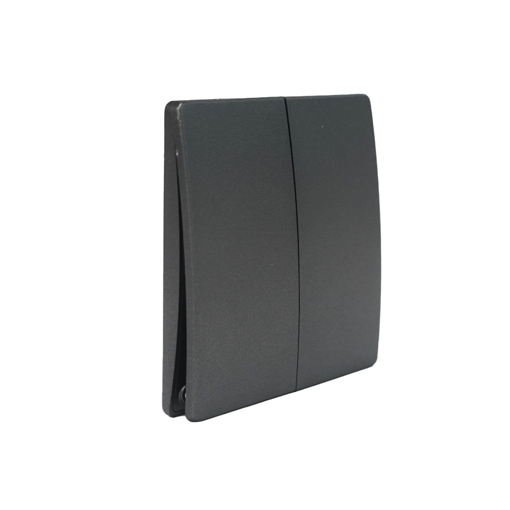 Interruptor inalámbrico gris. 2 botones