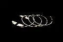 Tira LED de neon 10W DC24V IP67  2700ºK Luz calida 4mm 5m