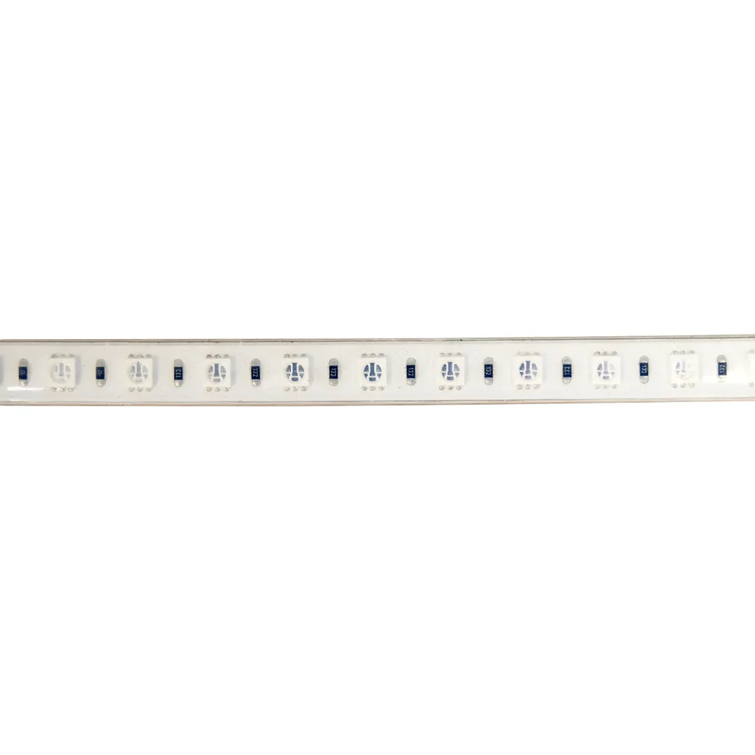 Metro de tira LED AC220V 11,5 W 72 LEDs/m IP66 RGB