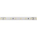 Tira LED 12,65W DC24V 60LEDs/m SMD2835 IP65 Luz Fría 6.000ºK 10mm 5m