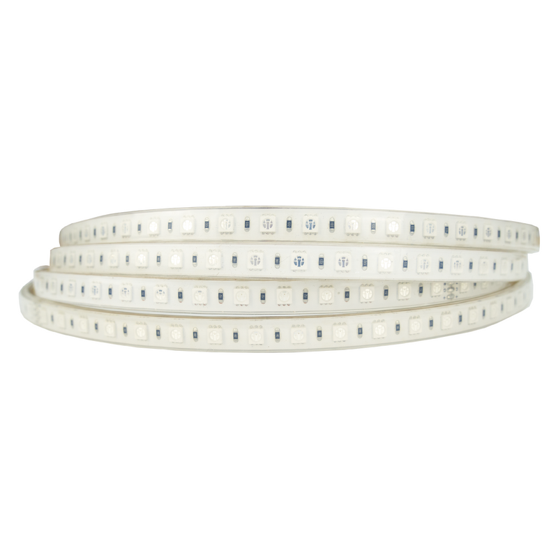 Metro de tira LED AC220V 11,5 W 72 LEDs/m  IP67 RGB