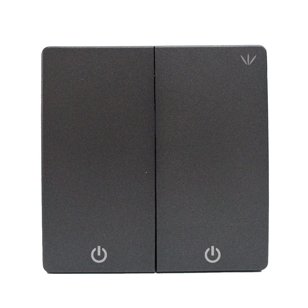 Interruptor inalámbrico gris. 2 botones