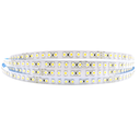 Tira LED 9,6W DC24V 120LEDs/m SMD3528 IP20 3000+6000ºK Luz Dual Cálida y Fría 10mm 5m