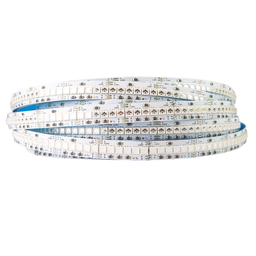 [10631038] Tira LED RGB DC24V 18,9W 240LEDs/m SMD3838 IP20 10mm 5m